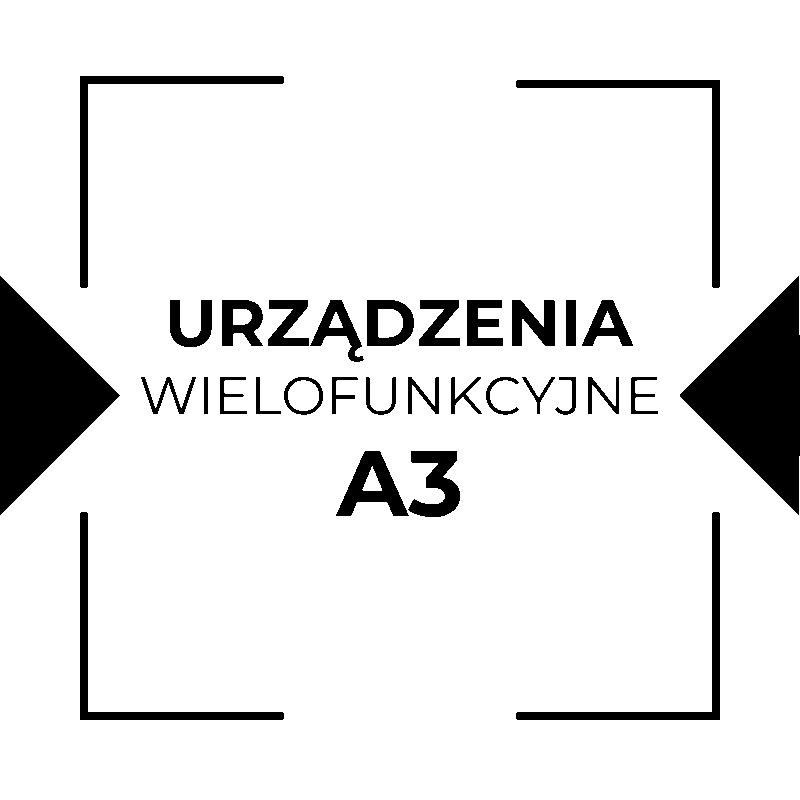A3